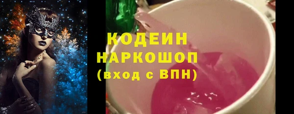 стаф Ельня