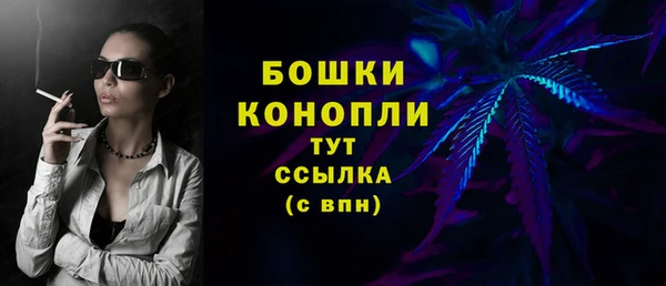 герыч Бикин