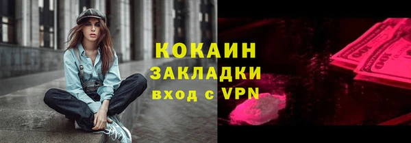 молекула духа Пересвет