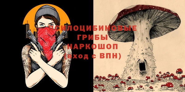 молекула духа Пересвет