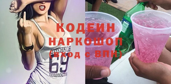 молекула духа Пестово