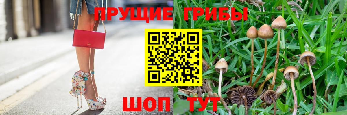 Галлюциногенные грибы мицелий  Богородск 