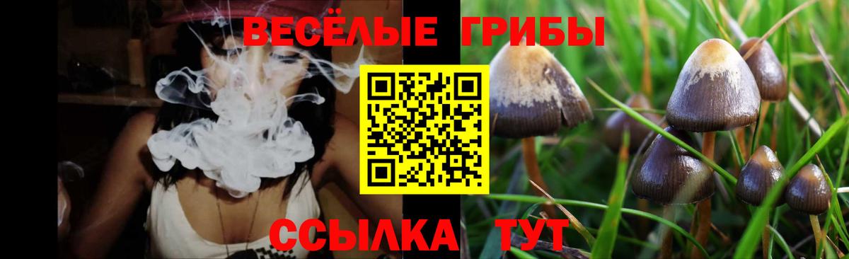 Галлюциногенные грибы Magic Shrooms Богородск