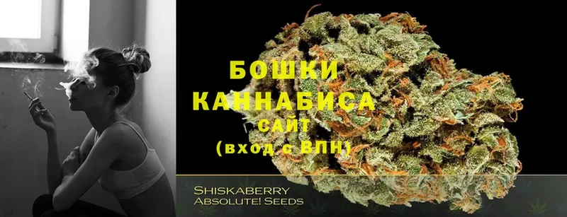 Конопля White Widow  гидра маркетплейс  Богородск 